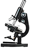 Microscope